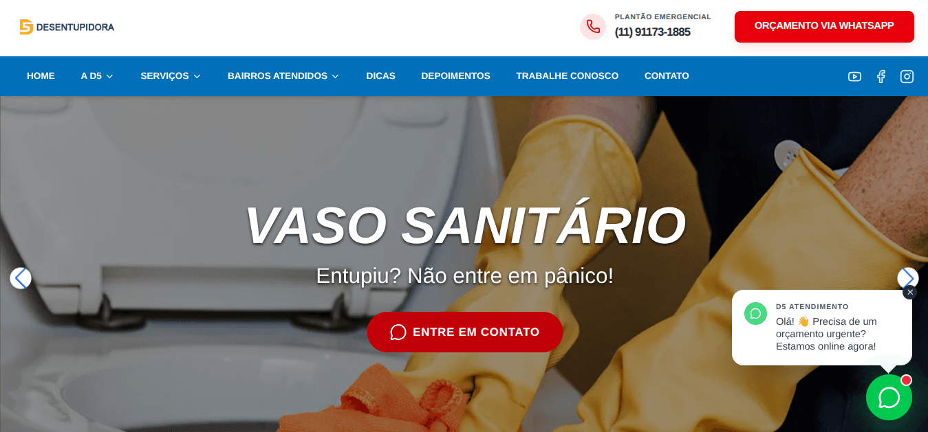 Screenshot do projeto D5 Desentupidora